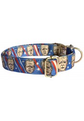 Joe Biden dog collar, quick release collar, blue textile dog collar, printed political dog collar