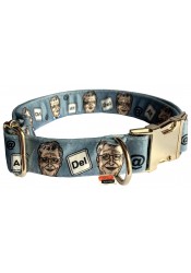 Bill Gates dog collar, quick release collar, safety collar, blue-grey textile collar, printed dog collar