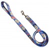 Boris Johnson dog leash, blue dog leash, printed textile leash, political dog leash