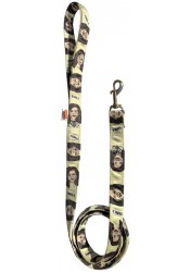 Kamala Harris dog leash, political dog leash, printed textile leash, yellow dog leash