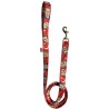 Erdogan dog leash, parody dog leash, printed dog leash, red dog leash, political dog leash