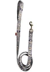 Orban dog leash, grey textile leash, parody dog leash, printed pet leash, political dog leash