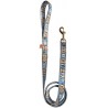 Bill Gates dog leash, funny blue dog leash, printed pet leash, celebrity dog leash